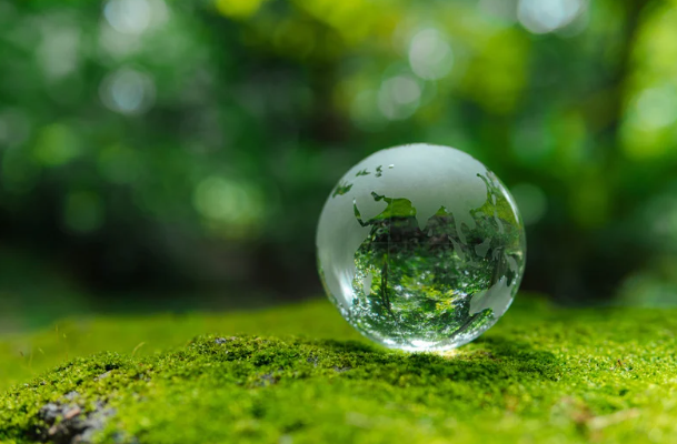 The Ultimate Guide to Intermodal Sustainability: Proven Strategies for Greener Shipping in 2025 1 intermodal sustainability